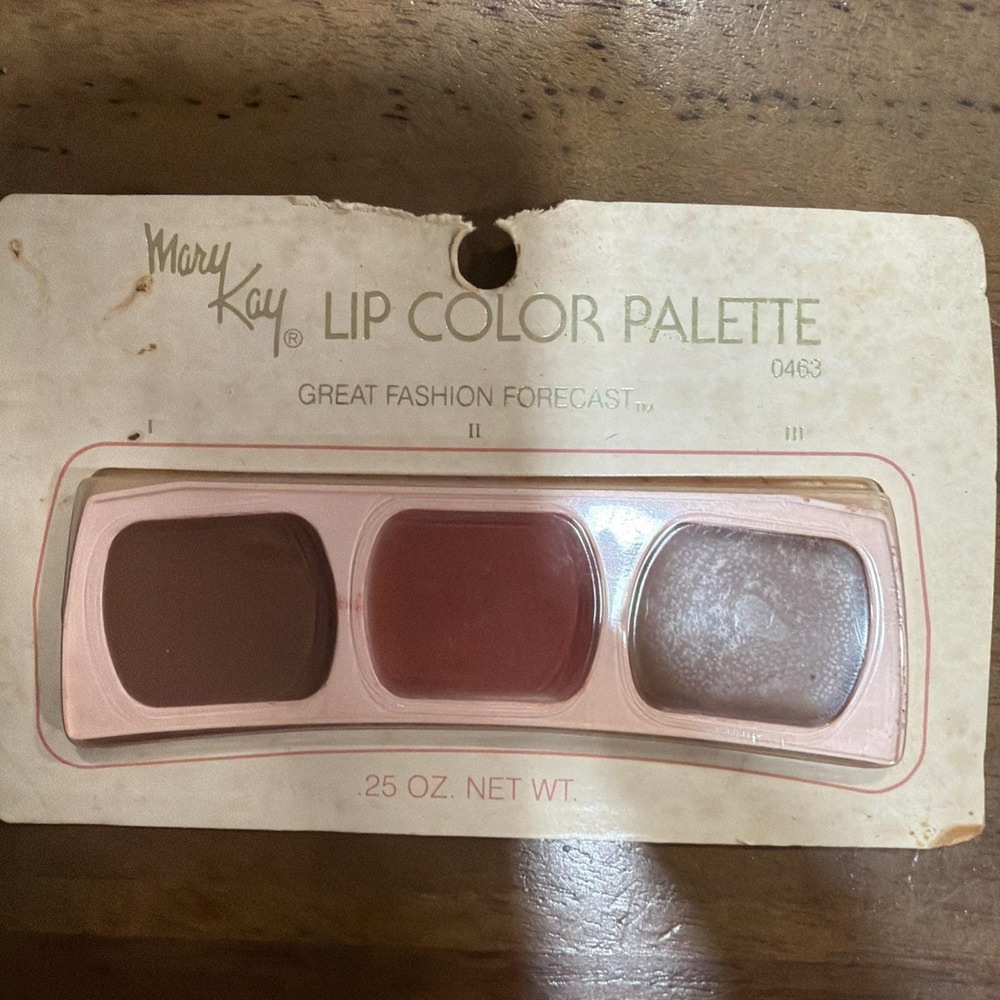 2-Vintage 1980S Mary Kay Lip Color Palette 0463 Great Fashion Forecast - Picture 4 of 6